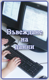 Български Документално Информационно Архивиращ Сервиз - въвеждане на данни за електронния архив